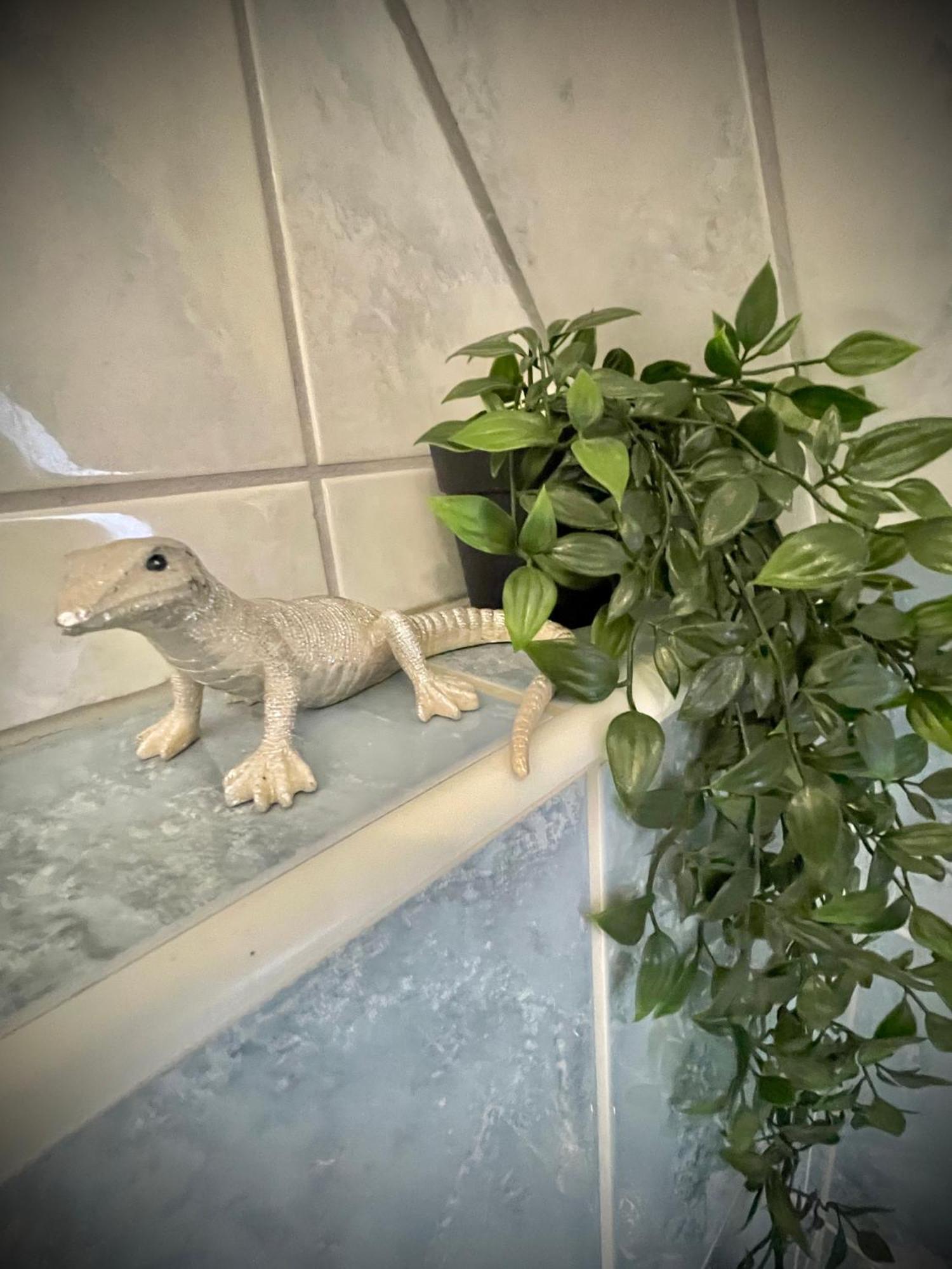 Casa Jungle Glanz Deluxe Apartment Sigmaringen Bagian luar foto